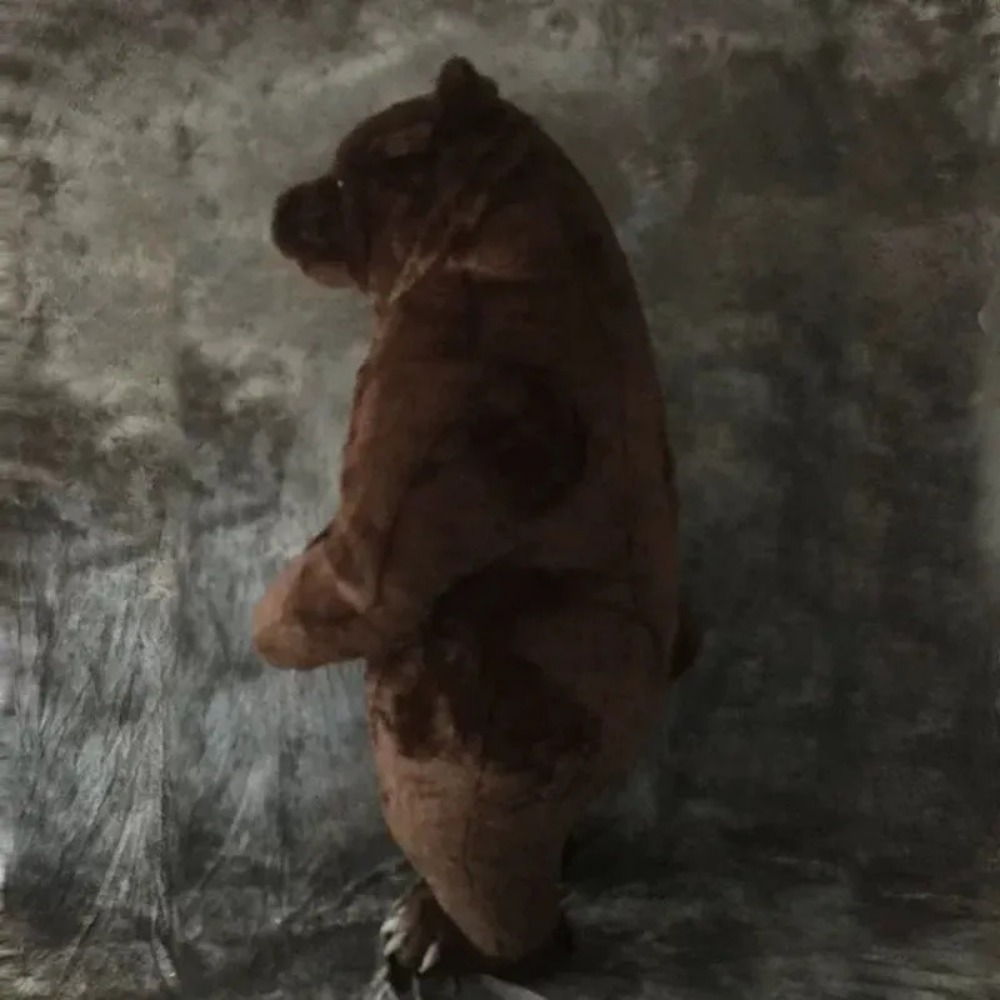 Inflatable Brown Bear Mascot C - Chargers review and price